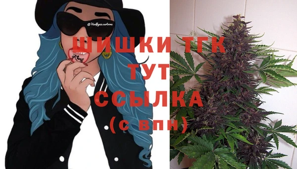 ECSTASY Алексин