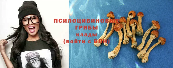 дживик Алзамай