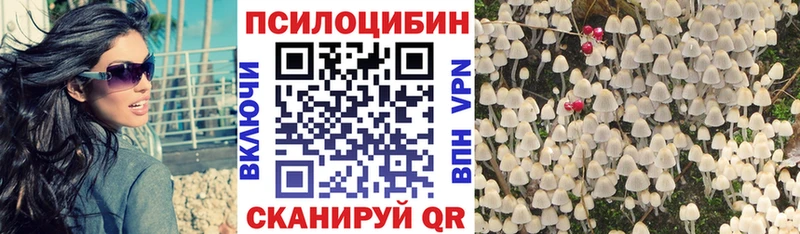 Псилоцибиновые грибы Psilocybine cubensis  Новоузенск 